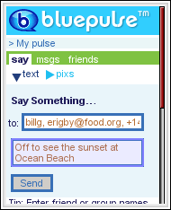 Bluepulse messaging interface