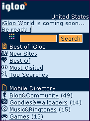  iGloo Portal